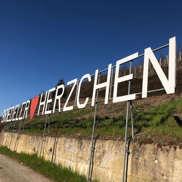 【一隻生金蛋的雞】頂級Riesling葡萄園 -- Briedeler Herzchen