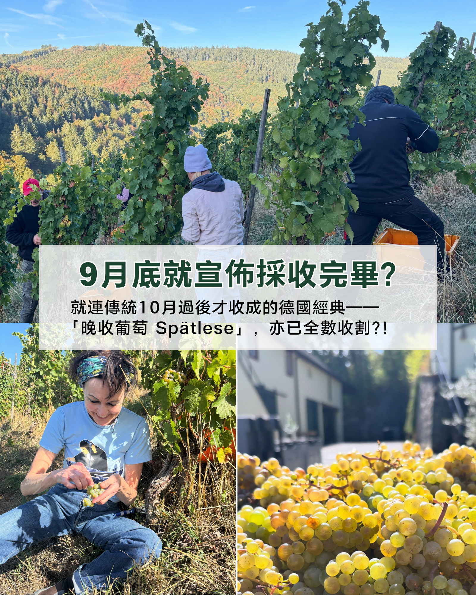 晚收愈來愈早？氣候變遷下，回味2016德國傳統冷涼風味