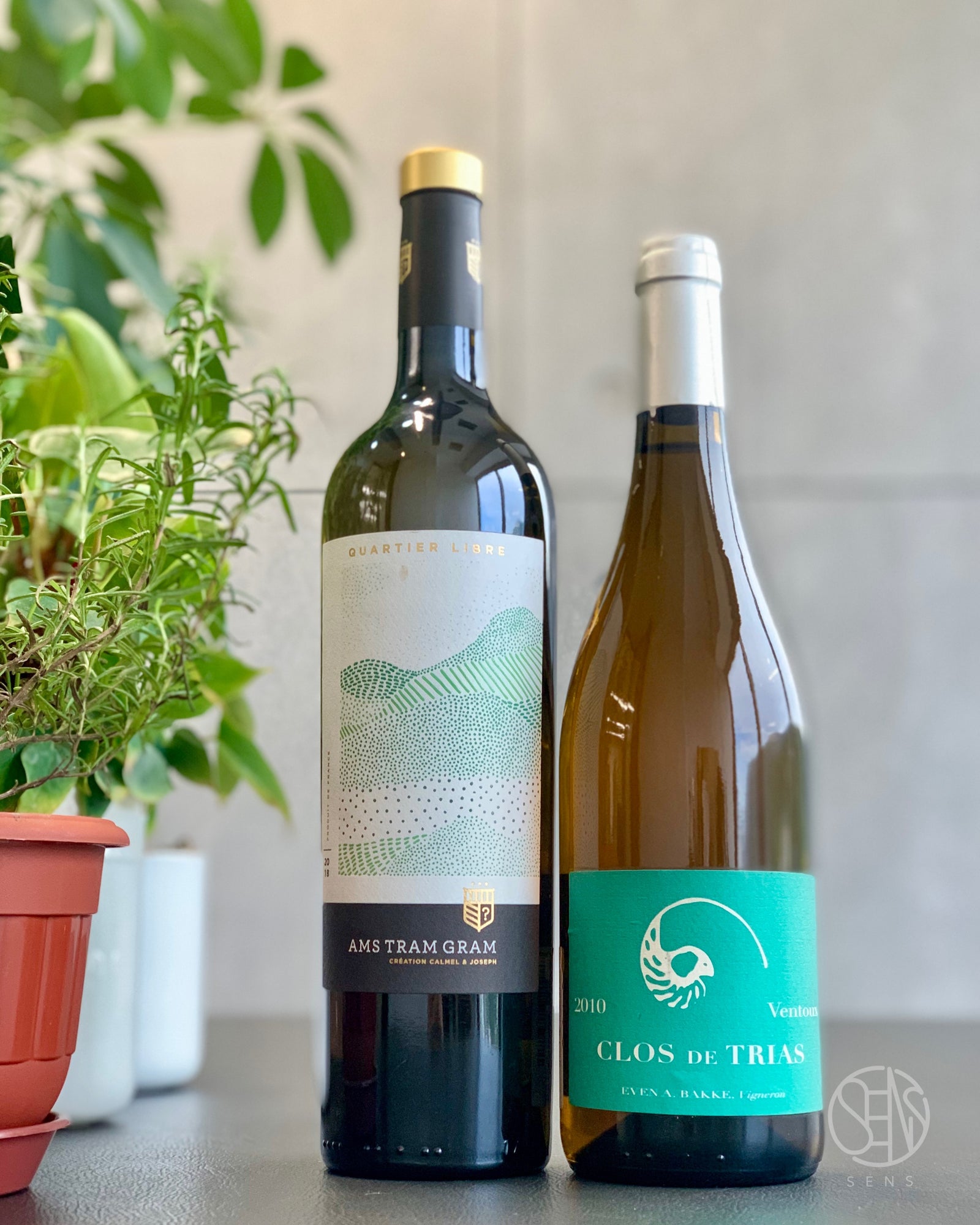 【致堅強、美麗、清新的妳】復古新星✨ Clairette