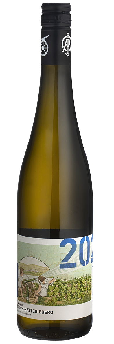 Mosel經典藍板岩Cru （80年老樹，無接枝） - Weingut Immich-Batterieberg "Enkircher Ellergrub" Riesling 2020 (RP: 95)