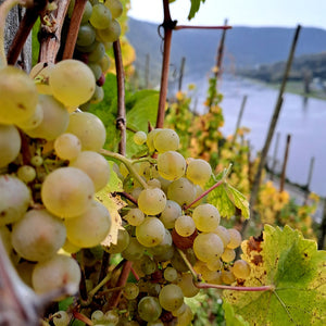 Weingut Immich-Batterieberg "Jour Fixe" Riesling Brut Nature 2016