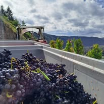 Weingut Immich-Batterieberg Monteneubel SpatBurgunder (Pinot Noir) 2014 (RP: 92)