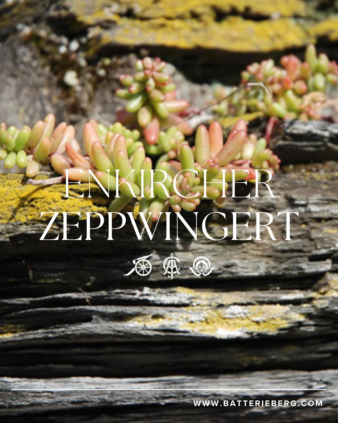 Mosel經典Cru（超過100年老藤，無接枝） - Weingut Immich-Batterieberg "Enkircher Zeppwingert" Riesling 2018 (JS:95)