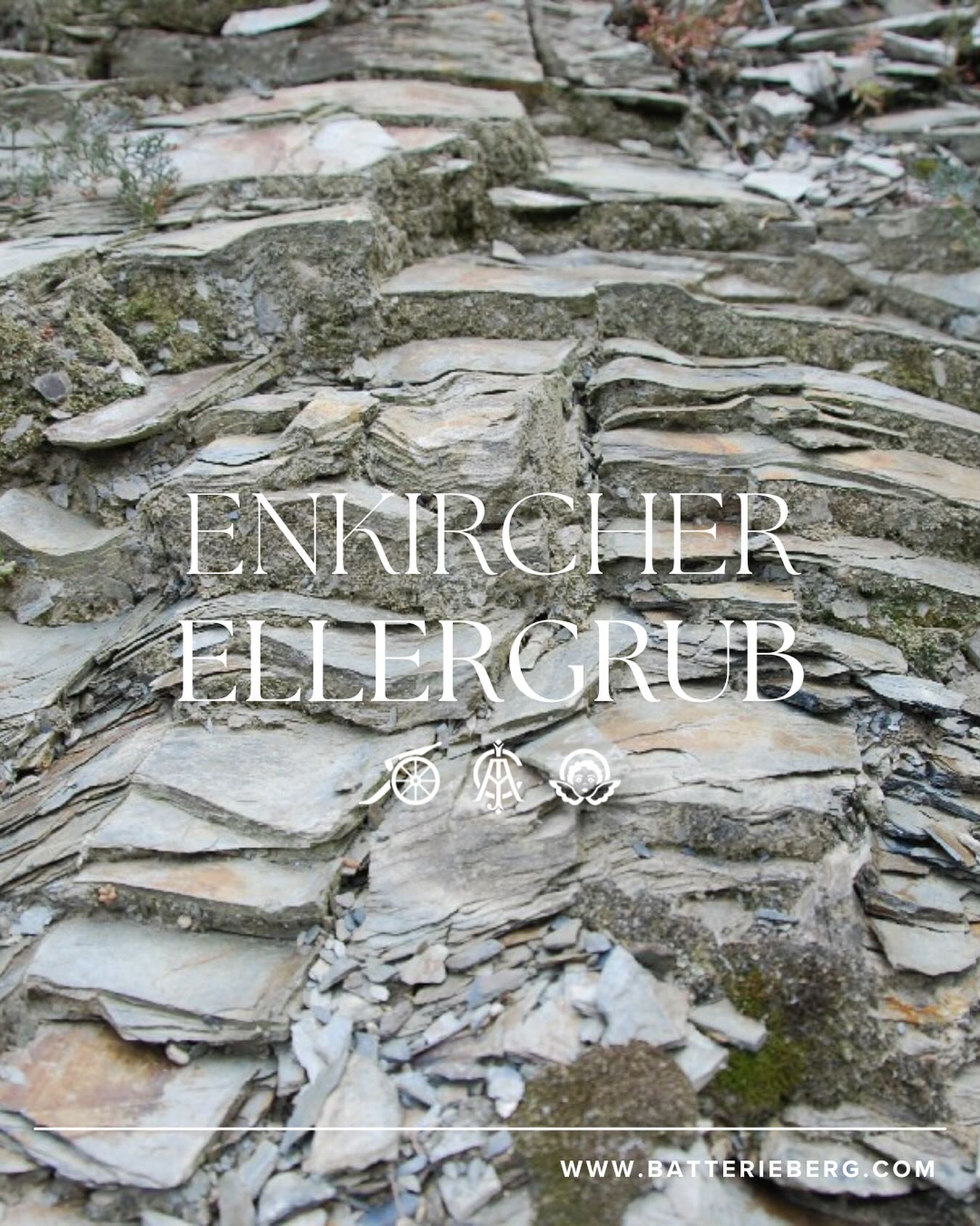 Mosel經典藍板岩Cru（80年老樹，無接枝） - Weingut Immich-Batterieberg "Enkircher Ellergrub" Riesling 2017 (RP:94)