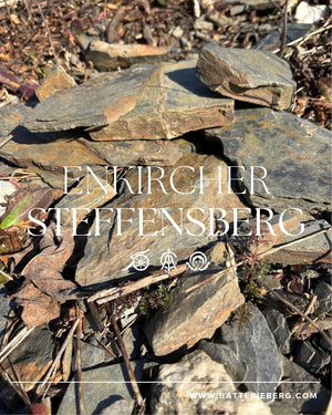 Mosel經典紅板岩Cru（60年老藤，無接枝） - Weingut Immich-Batterieberg "Enkircher Steffensberg" Riesling 2017 (RP: 93)
