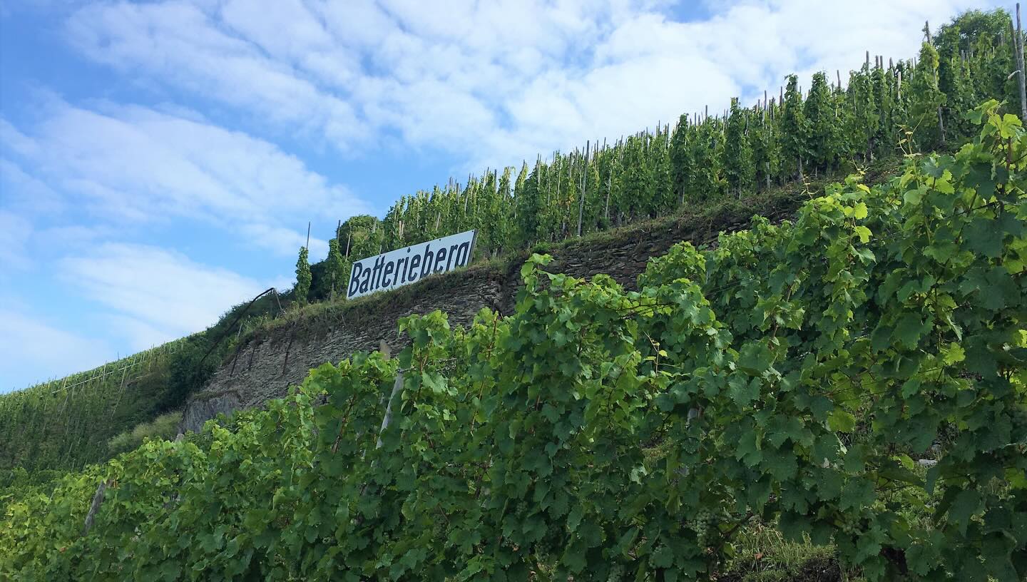 Mosel過千年無接枝古老葡萄園Batterieberg - 80年老藤系列 - Weingut Immich-Batterieberg "Batterieberg Monopole" Riesling 2020 (RP: 96+)