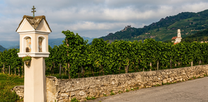 Pichler-Krutzler Grüner Veltliner "Klostersatz" 2014 (Vinous: 91)