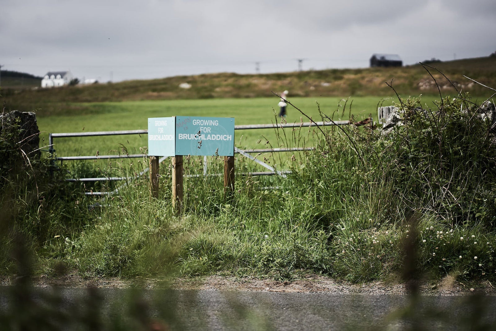 Bruichladdich Port Charlotte Islay Barley 2013 50%