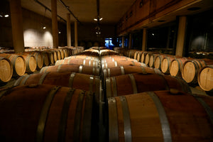 Ferrer Bobet Seleccio Especial Vinyes Velles 2020 (RP: 94, JS: 95) 『2008年為《神之水滴》第十一門徒 夕陽』