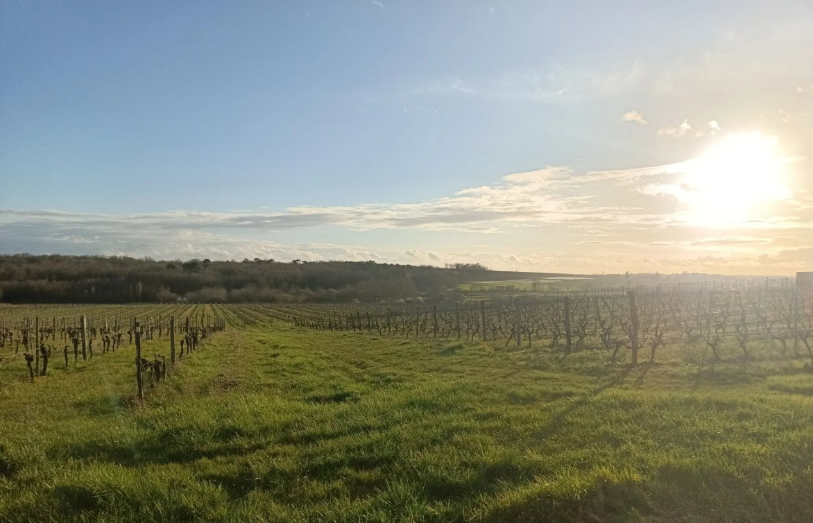 Chateau Baratet Blanc 2025