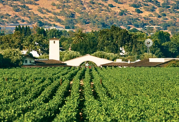 Robert Mondavi To Kalon Reserve Cabernet Sauvignon 2015 (RP:96+, JS: 96)