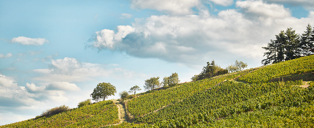 Mommesin Domaine de La Presle Fleurie 2023 <br>(Wine Enthusiast: 93)