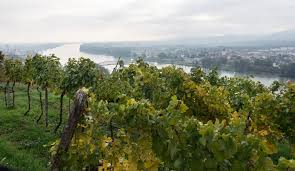 Pichler-Krutzler Grüner Veltliner "Wunderburg" 2012 (RP:91)