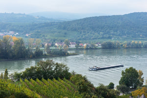 Pichler-Krutzler Riesling "Ried Pfaffenberg Alte Reben" 2015 (Old Vines) (RP:93)
