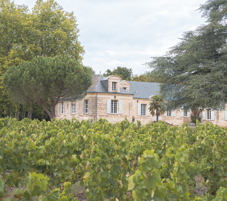 Château de Thésée 2022
