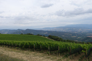 Castell d' Encus Club E Albarino 2013