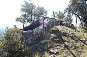 Castell d' Encus Club E Albarino 2013