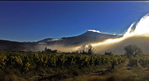 Clos de Trias Vieilles Vignes 2007