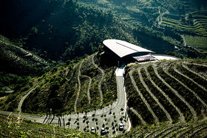 Ferrer Bobet 2016 (RP:92+;JS:97) (最後少量，此款已絕版）