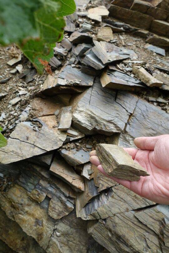 Ferrer Bobet 2016 (RP:92+;JS:97) (最後少量，此款已絕版）