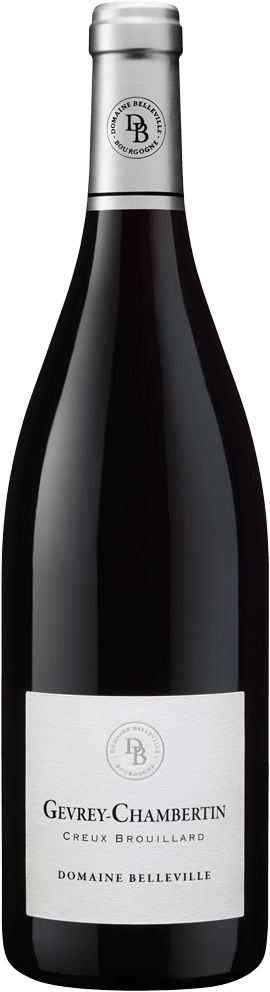 Domaine Belleville Gevrey-Chambertin Creux Brouillard 2019